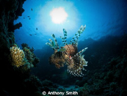 Suspension... by Anthony Smith 
